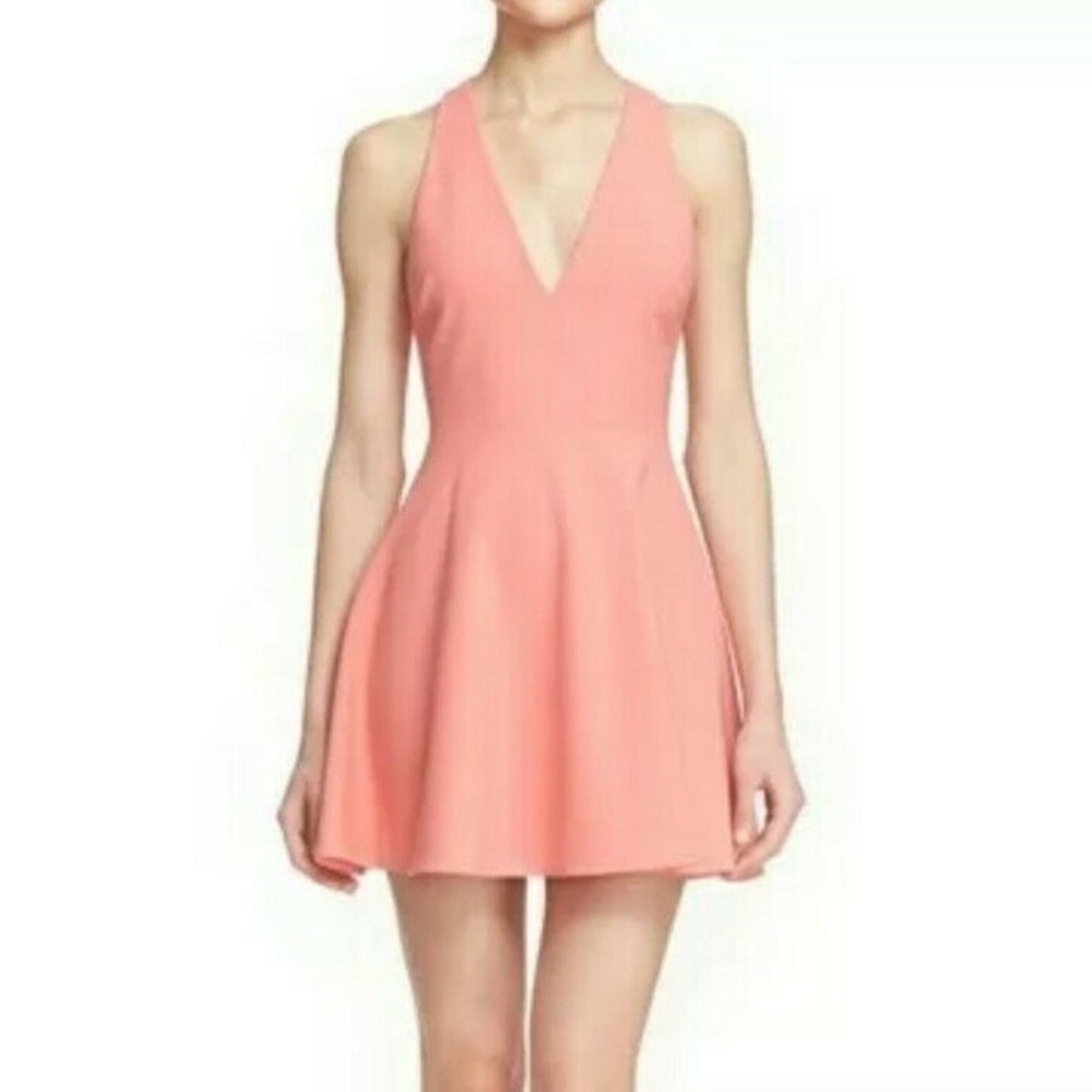 Elizabeth and James V neck flare dress